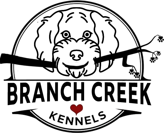 branch creek kennels logo